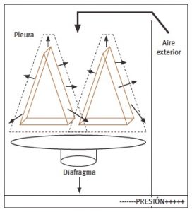 Gradiente de presiones en la ventilación durante la fase inspiratoria